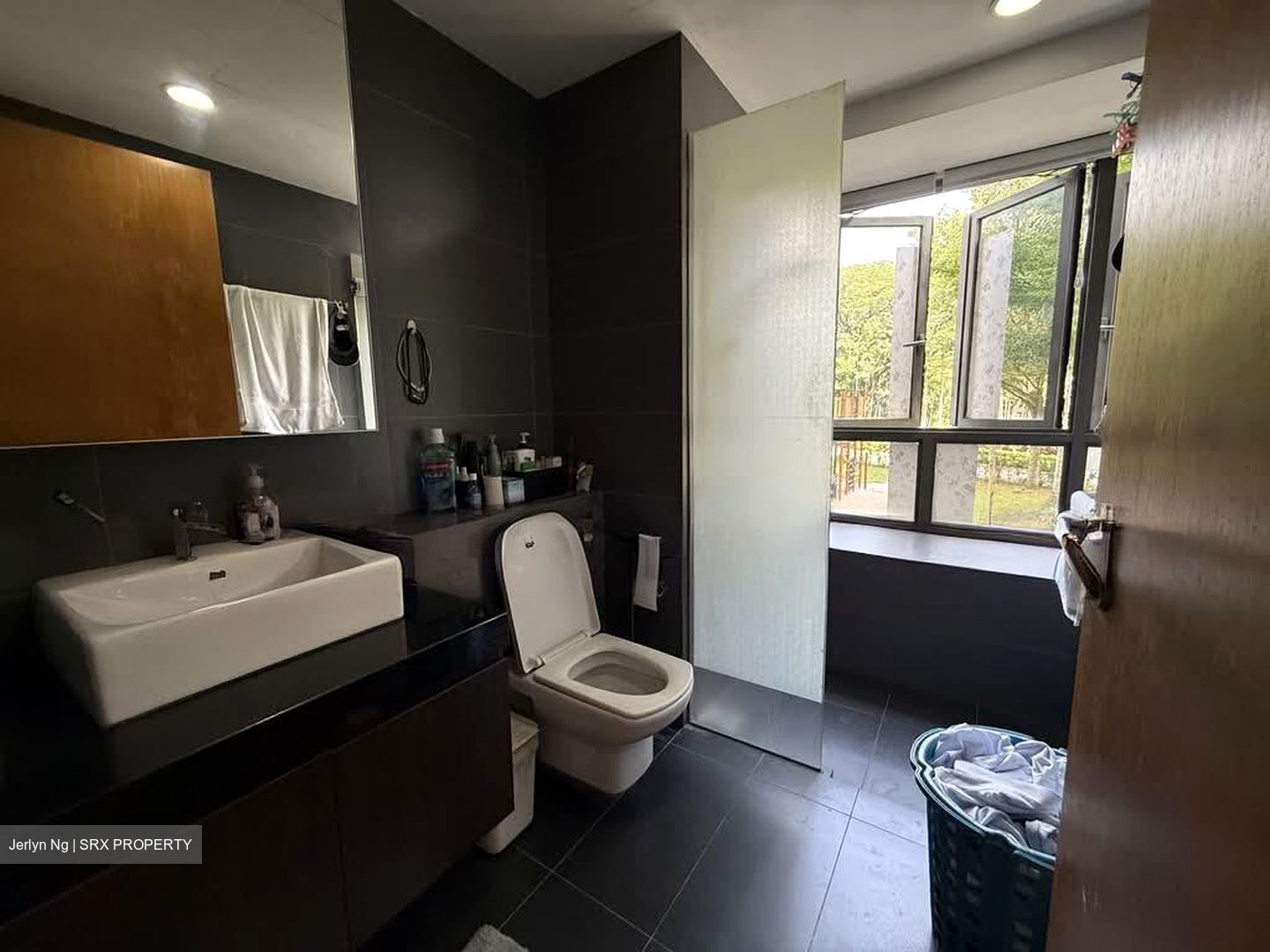 Meadows @ Peirce (D26), Condominium #600353611